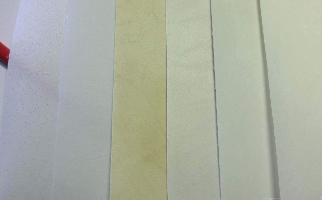 Vellum and Parchment, and a special offer Patricia Lovett MBE